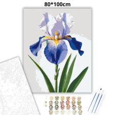 Creative Land Kft Derűs írisz virág - számfestő készlet – 80×100 cm (Keret nélkül) kreatív és készségfejlesztő