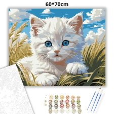 Creative Land Kft Derűs kiscica pillantása - számfestő készlet – 60×70 cm (Keret nélkül) kreatív és készségfejlesztő