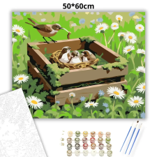Creative Land Kft Fészeknyi madárka - számfestő készlet – 50×60 cm (Keretre feszítve) kreatív és készségfejlesztő