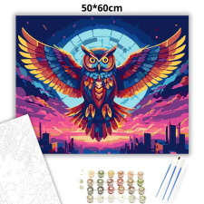 Creative Land Kft Futurisztikus színes bagoly - számfestő készlet – 50×60 cm (Keret nélkül) kreatív és készségfejlesztő
