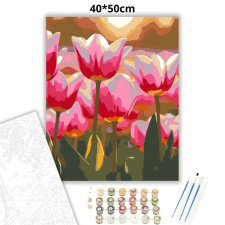 Creative Land Kft Harmatfényű tulipánok - számfestő készlet kreatív és készségfejlesztő