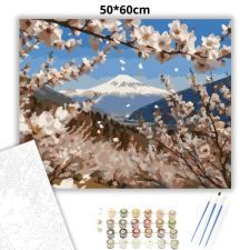 Creative Land Kft Havas cseresznyevirágzás - számfestő készlet – 50×60 cm (Keret nélkül) kreatív és készségfejlesztő