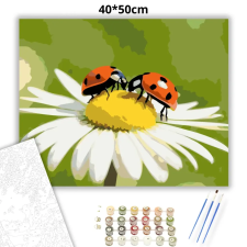 Creative Land Kft Katica találkozó - számfestő készlet kreatív és készségfejlesztő