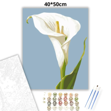 Creative Land Kft Letisztult kála - számfestő készlet – 40×50 cm (Keretre feszítve) kreatív és készségfejlesztő