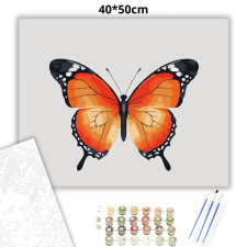 Creative Land Kft Letisztult pillangó - számfestő készlet – 40×50 cm (Keretre feszítve) kreatív és készségfejlesztő