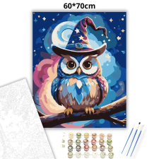 Creative Land Kft Mesés varázskalapos bagoly - számfestő készlet – 60×70 cm (Keretre feszítve) kreatív és készségfejlesztő