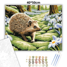 Creative Land Kft Mohás ösvény csendje - számfestő készlet – 40×50 cm (Keretre feszítve) kreatív és készségfejlesztő