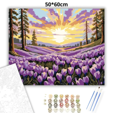 Creative Land Kft Pirkadati krókusztenger - számfestő készlet – 50×60 cm (Keret nélkül) kreatív és készségfejlesztő