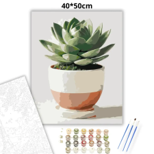 Creative Land Kft Pozsgás szobanövény - számfestő készlet kreatív és készségfejlesztő