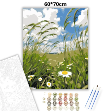 Creative Land Kft Szellős margarétamező - számfestő készlet – 60×70 cm (Keret nélkül) kreatív és készségfejlesztő