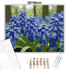 Creative Land Kft Tavaszi gyöngyikék - számfestő készlet – 50×60 cm (Keretre feszítve) kreatív és készségfejlesztő