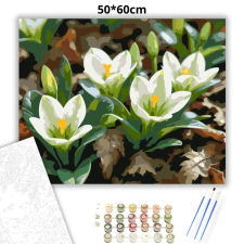 Creative Land Kft Tavaszváró hunyorok - számfestő készlet – 50×60 cm (Keretre feszítve) kreatív és készségfejlesztő