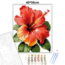 Creative Land Kft Trópusi hibiszkusz - számfestő készlet kreatív és készségfejlesztő