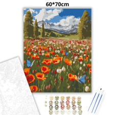 Creative Land Kft Üde virágmező - számfestő készlet – 60×70 cm (Keret nélkül) kreatív és készségfejlesztő