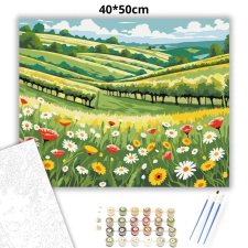 Creative Land Kft Vadvirágos rét - számfestő készlet kreatív és készségfejlesztő