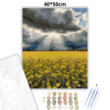 Creative Land Kft Viharos repcemező - számfestő készlet – 40×50 cm (Keretre feszítve) kreatív és készségfejlesztő