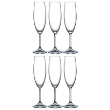 Crystalex CZ. s.r.o. Crystalex pezsgőspoharak LARA 220ml 6db pezsgős pohár