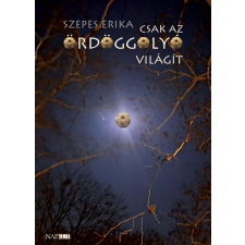  Csak az Ördöggolyó világít regény