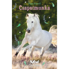  Csapatmunka - Tilly és Táltos 3. gyermek- és ifjúsági könyv