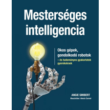 CSER KÖNYVKIADÓ ÉS KERESKEDELMI KFT Mesterséges intelligencia egyéb könyv