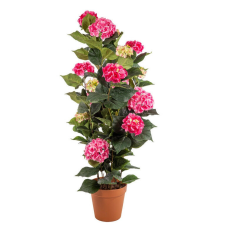  Cserepes Hortenzia pink nagy 140 cm dekoráció