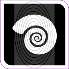  Csigaház (css0025_4) csillámtetoválás