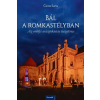  Csinta Samu - Bál a romkastélyban