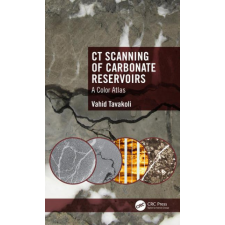  CT Scanning of Carbonate Reservoirs – Vahid Tavakoli idegen nyelvű könyv