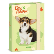 Cuki állatok füzetbox - A5 - Corgi kutyás füzetbox