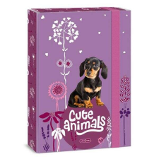 Cute Animals kutyás füzetbox - A4 - tacskós füzetbox