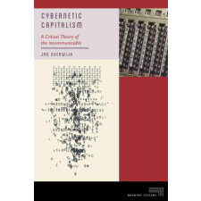 Cybernetic Capitalism – A Critical Theory of the Incommunicable – Jan Overwijk idegen nyelvű könyv