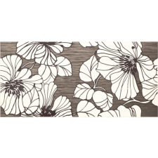  Cydonia Silver INSERTO DRUKOWANE 295x595 csempe