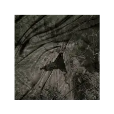  D33J - Gravel Remixed (Vinyl EP (12")) elektronikus