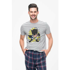 D&B Férfi Unisex Póló PC00004 Batman Szürke-Méret 4XL