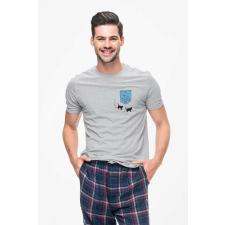 D&B Férfi/Unisex Póló PO00003 Aquarium Pocket Szürke-Méret 2XL férfi póló