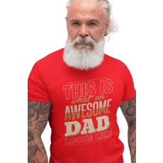  D&B Férfi/Unisex Póló ST00041 Dad Piros-Méret S