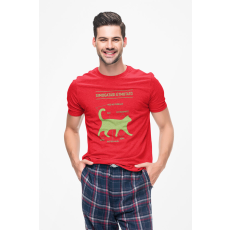  D&B Férfi/Unisex Póló ST00051 Útmutató Piros-Méret XL