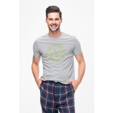 D&B Férfi/Unisex Póló ST00157 Vegetarian Szürke-Méret XL férfi póló