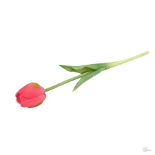 D&D Selyemvirág tulipán szálas gumi 44cm málnapiros dekorációs kellék
