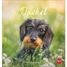  Dackel Postkartenkalender 2027 (Naptár/Határidőnapló) naptár, kalendárium