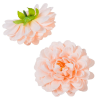  Dália virágfej salmon 302 D7,5cm 24db/csom
