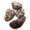  Dalmata Jáspis marokkő (2-3 cm)