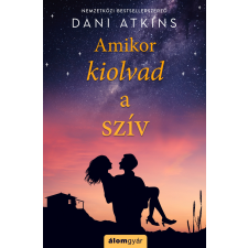 Dani Atkins - Amikor kiolvad a szív regény