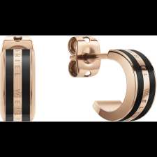 Daniel Wellington fülbevaló rózsa arany DW00400310 (7315030041712) fülbevaló