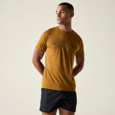 Dare2be Tech II Tee Férfi gyorsan száradó póló színes