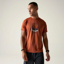 Dare2be Tech II Tee Férfi gyorsan száradó póló színes férfi póló