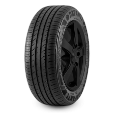 Davanti DX390 195/55 R16 87V Nyári Gumiabroncs nyári gumiabroncs