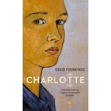  David Foenkinos - Charlotte regény