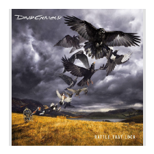 David Gilmour Rattle That Lock (Vinyl LP (nagylemez)) egyéb zene