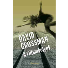 David Grossman A villámkölyök regény